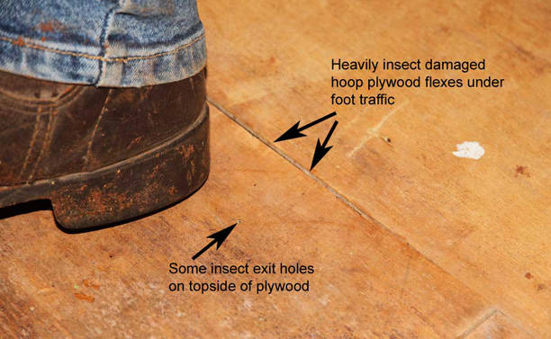 Click for next image... Slideshow image