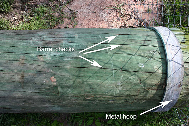 Click for next image... Slideshow image