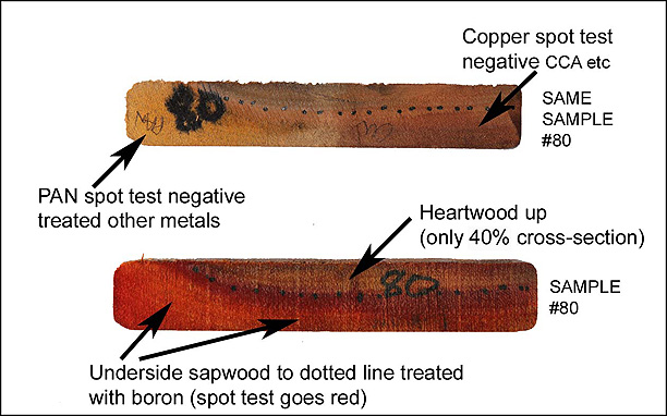 Click for next image... Slideshow image