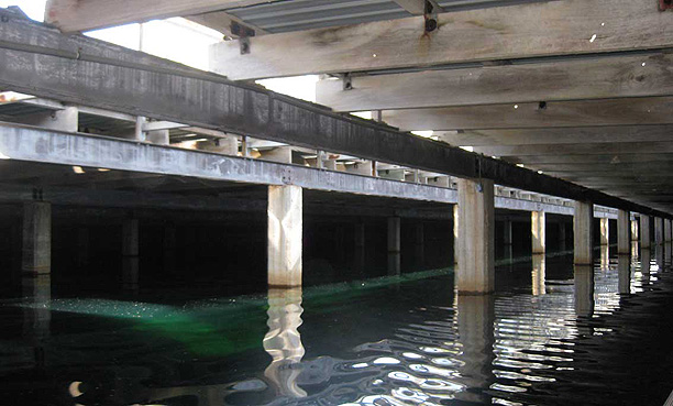 Click for next image... Slideshow image